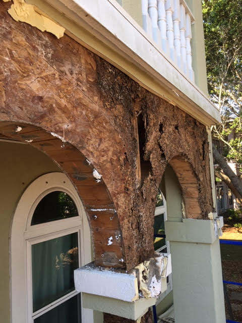 Repairing home damaged by termites