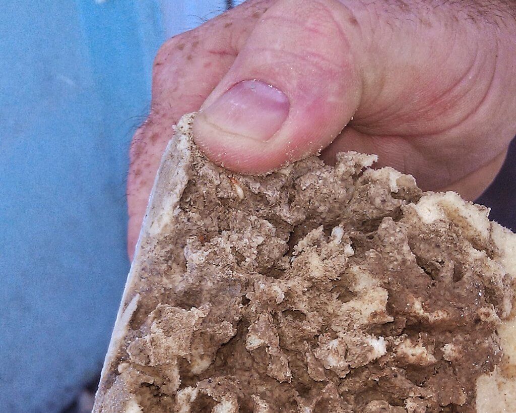 Termite damage found in Florida home