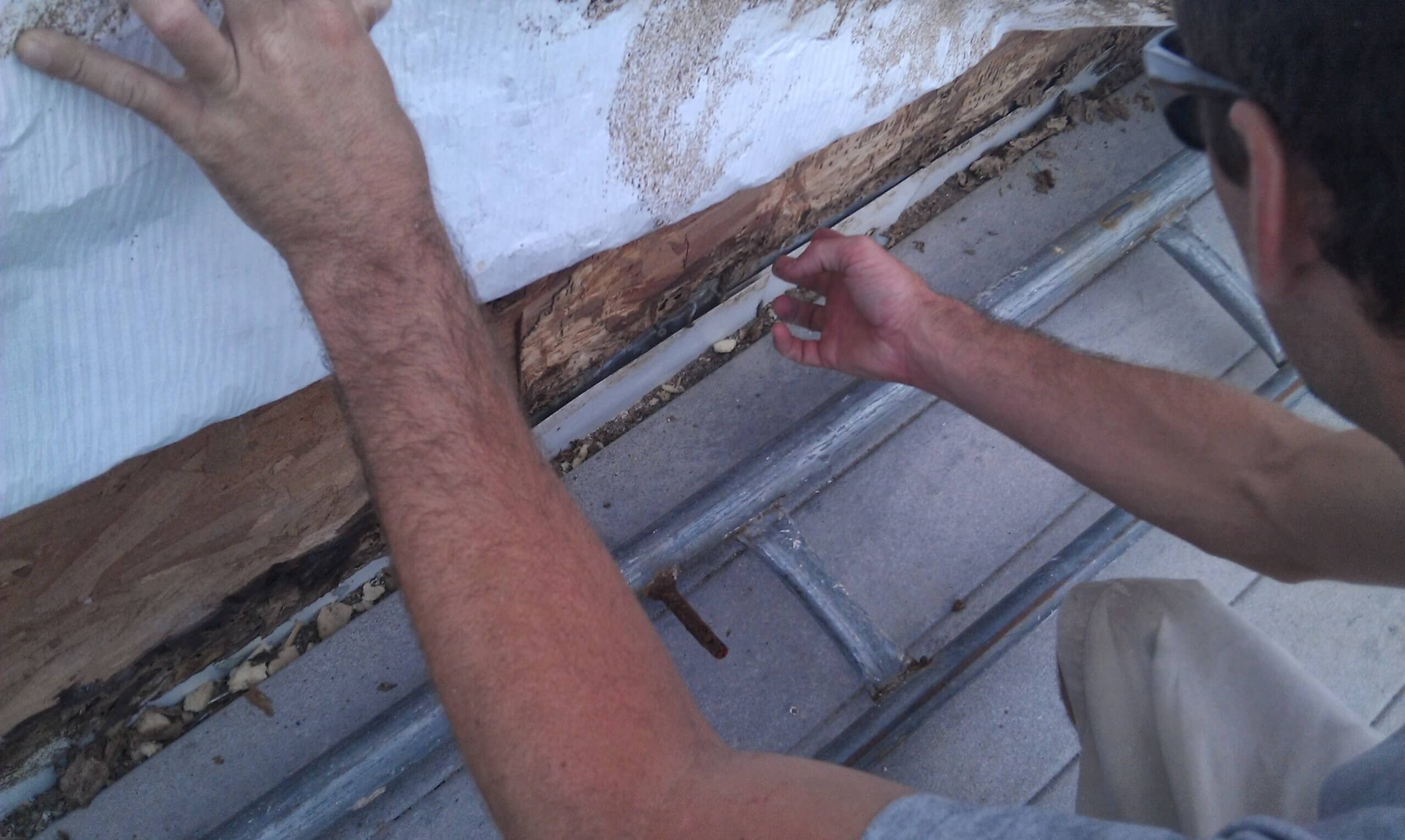Termite Damage Restoration in Pensacola - Highpoint DBR