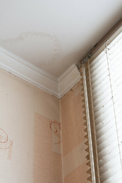 Roof Leaks, Marks On The White Painted Ceiling After Rain Or Mel